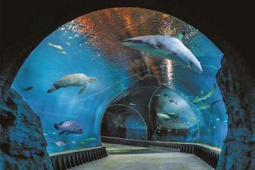 afrikarium